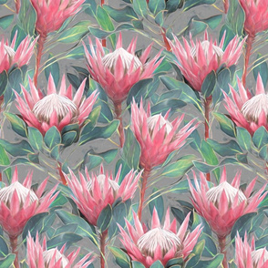 Painted King Proteas - pink on mid grey MEDIUM