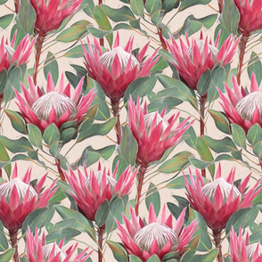 Painted King Proteas - pink on dark cream MEDIUM