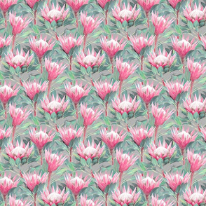Painted King Proteas - pink on light grey SMALL