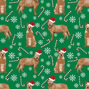 Australian Cattle Dog red heeler dog breed christmas peppermint sticks candy canes fabric green