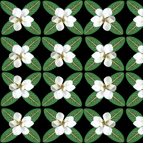 magnolia pattern
