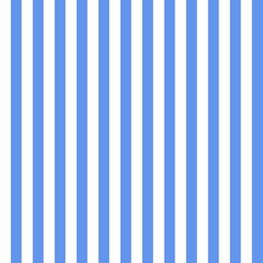 Quarter Inch Cornflower Blue and White Vertical Stripes