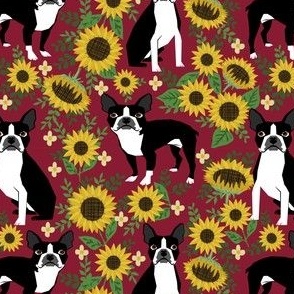 boston terrier sunflower fabric dogs and sunflowers floral design - burgundy