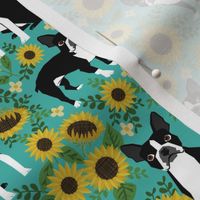 boston terrier sunflower fabric dogs and sunflowers floral design - turquoise