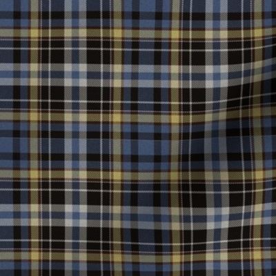 Blue and Yellow plaid