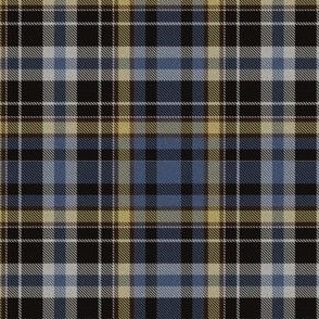Blue and Yellow plaid