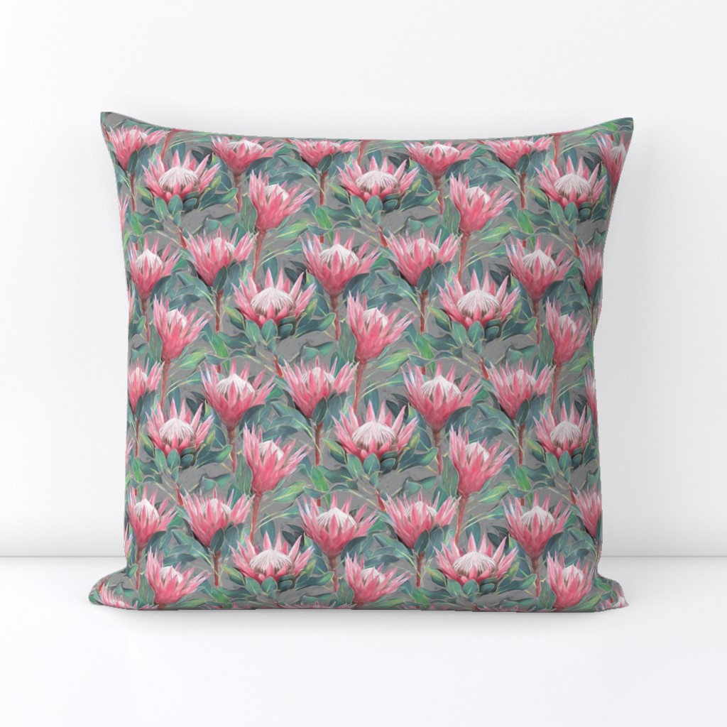Painted King Proteas - pink on mid grey SMALL