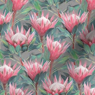 Painted King Proteas - pink on mid grey SMALL
