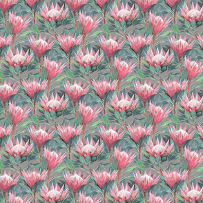 Painted King Proteas - pink on mid grey SMALL