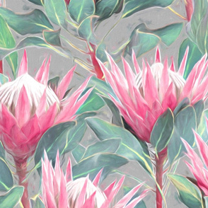 Painted King Proteas - pink on light grey LARGE