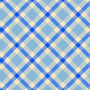 Blue and White Plaid