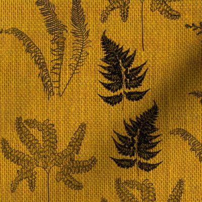 Ferns on mustard burlap