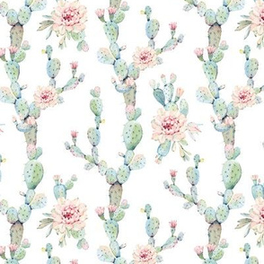 Watercolor Pastel Cactus // White