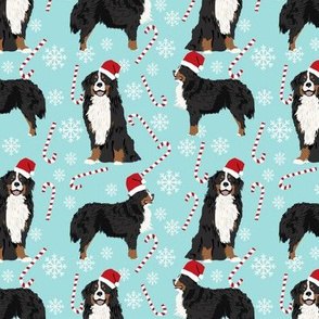 Bernese Mountain Dog peppermint stick candy canes winter snowflakes dog fabric light blue