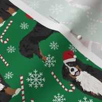 Bernese Mountain Dog peppermint stick candy canes winter snowflakes dog fabric green