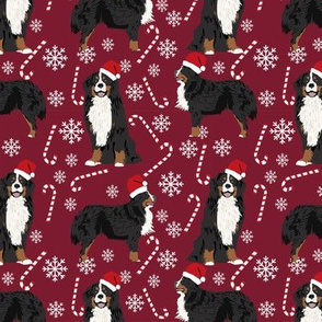 Bernese Mountain Dog peppermint stick candy canes winter snowflakes dog fabric ruby