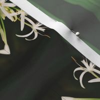 Hawaiian Flora 1--Woven White Lilies