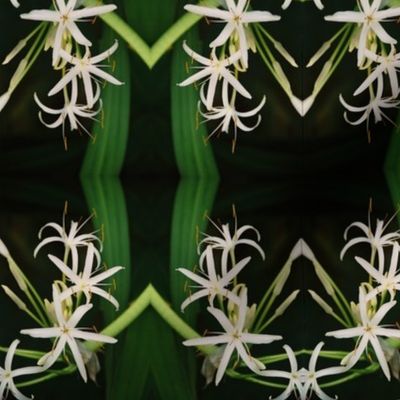 Hawaiian Flora 1--Woven White Lilies