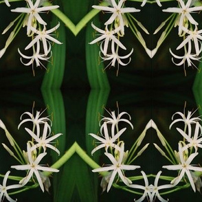 Hawaiian Flora 1--Woven White Lilies