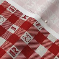 Gingham Alphabet Brighter