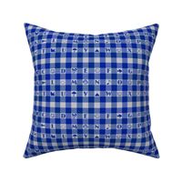 Blue Gingham Alphabet