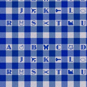 Blue Gingham Alphabet