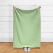 tiny gingham apple green