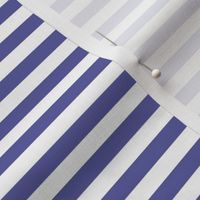 blue iris stripes - pantone color of the year 2008