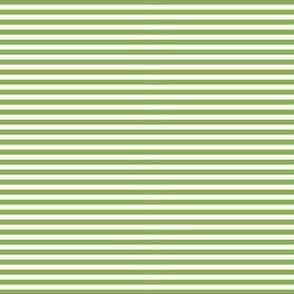 greenery pinstripes - pantone color of the year 2017