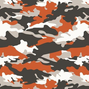C1 - camouflage 