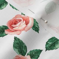 Red Garden Roses // White (Small Scale)