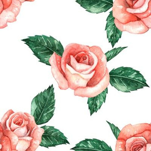 Red Garden Roses // White (Large Scale)