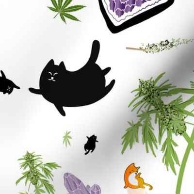 Cats, Crystals, & Cannabis 