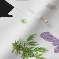 Cats, Crystals, & Cannabis 