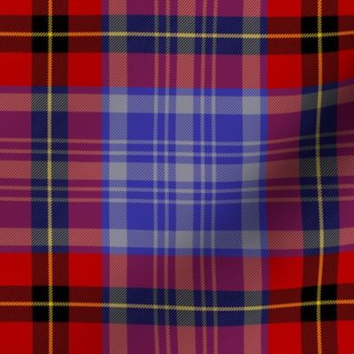 Stephens tartan, 6" modern