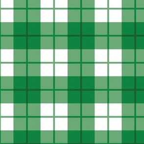 Green and White Plaid
