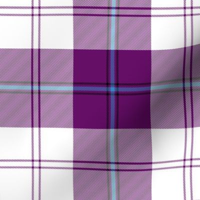 Cunningham dress tartan, 6" purple