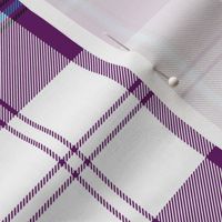 Cunningham dress tartan, 6" purple