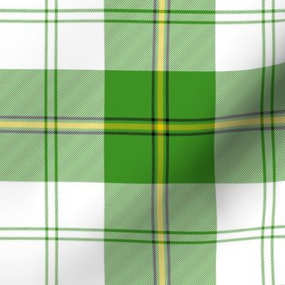 Cunningham dress tartan, 6" green