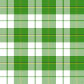 Cunningham dress tartan, 6" green