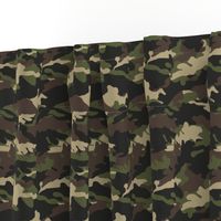 C2 - camouflage 