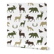 woodland animals C2