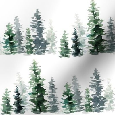 Forest Fir Trees