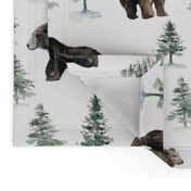 8" Camping Bear and Trees Woodland