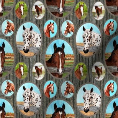 horse_portraits_barn_boards_dark_gray_4x4