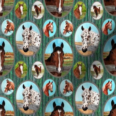 horse_portraits_barn_boards_green_4x4