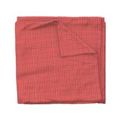 squiggle plaid 2 - melon red