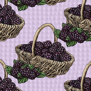 Blackberry Baskets - Lavender Gingham - Large Scale