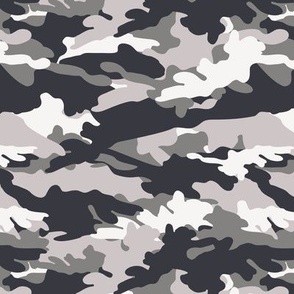 C3 - camouflage 