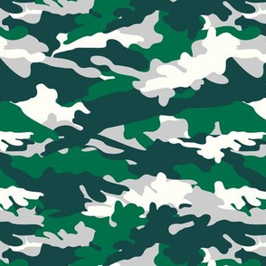 C10 - camouflage